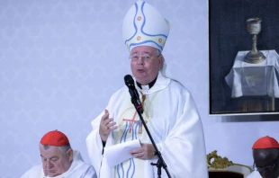 Cardinal Jean-Claude Hollerich celebrates Mass at the International Eucharistic Congress in Budapest, Hungary, Sept. 10, 2021. Daniel Ibáñez/CNA.